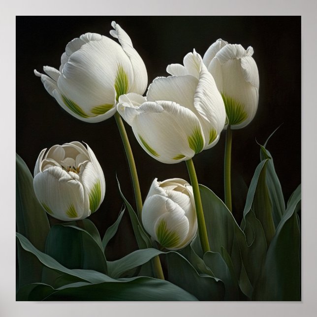 Poster de impresión de arte de flor de tulipanes b (Frente)