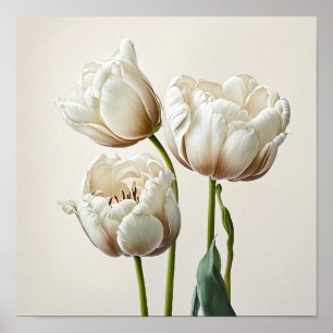 Poster de impresión de arte de flor de tulipanes b