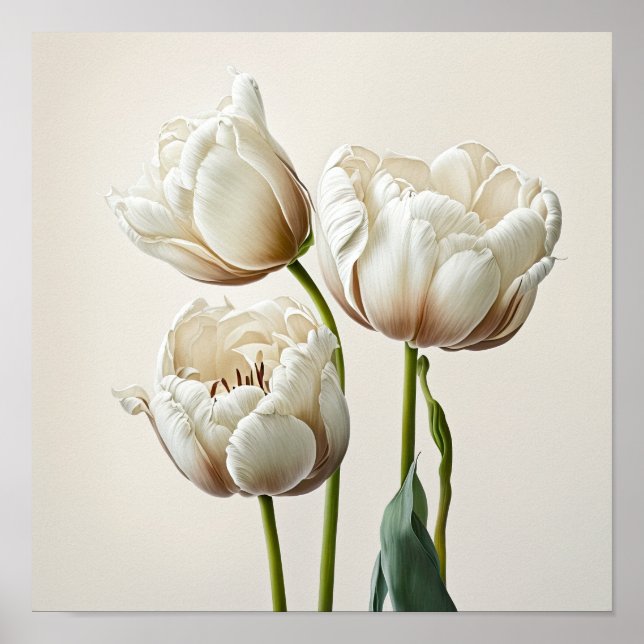Poster de impresión de arte de flor de tulipanes b (Frente)