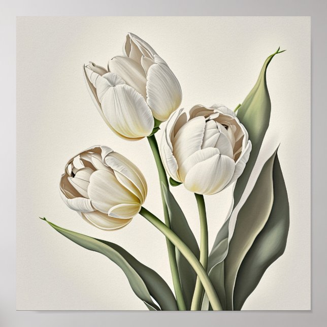 Poster de impresión de arte de flor de tulipanes b (Frente)