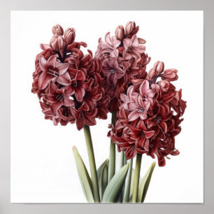 Poster de impresión de arte de flor en Burgundy Hy