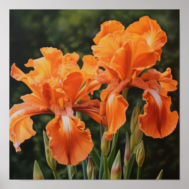 Poster de impresión de arte de flor naranja Irises (Frente)