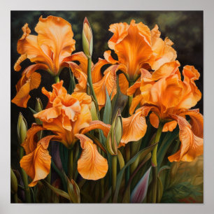Poster de impresión de arte de flor naranja Irises