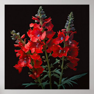 Poster de impresión de arte de flor rojo Delphiniu