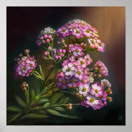Poster de impresión de arte de flor rosa Alyssum
