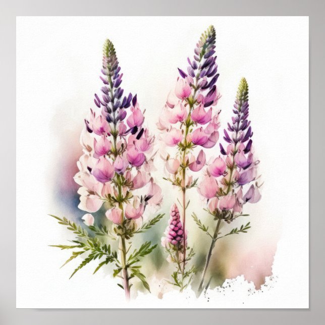 Poster de impresión de arte de flor rosa Lupine (Frente)