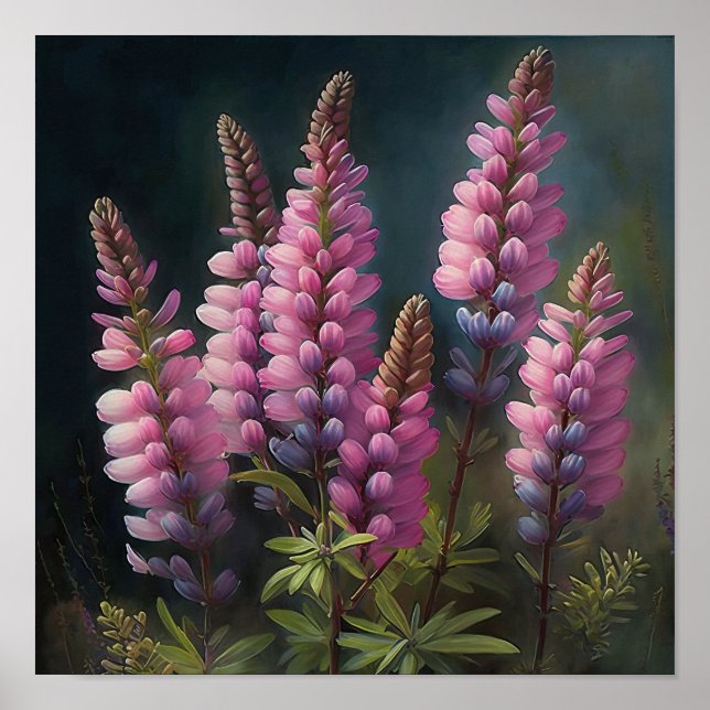 Poster de impresión de arte de flor rosa Lupine (Frente)