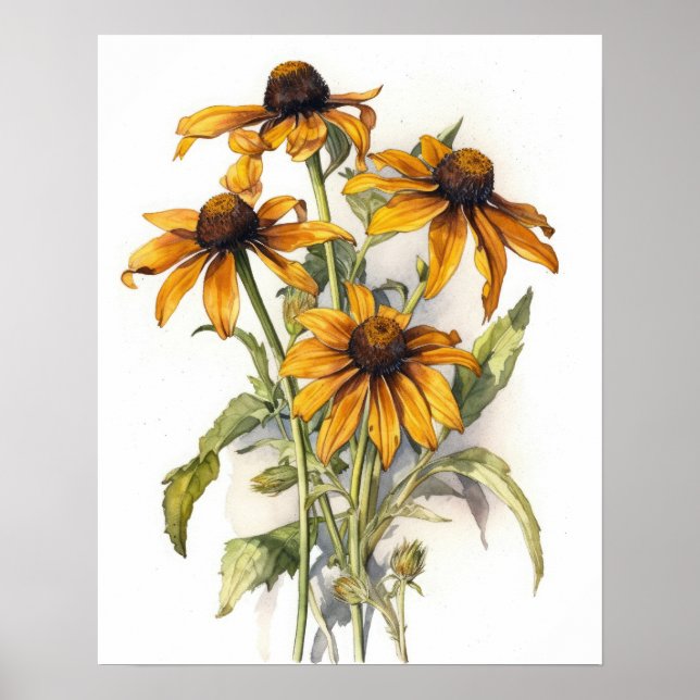 Poster de impresión de arte de flores Black Eyed S (Frente)