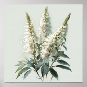 Poster de impresión de arte de flores blanco asila