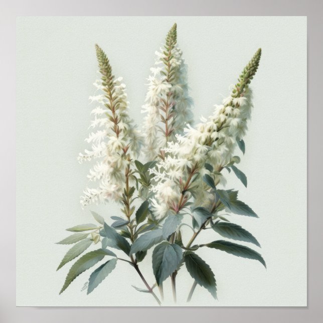 Poster de impresión de arte de flores blanco asila (Frente)