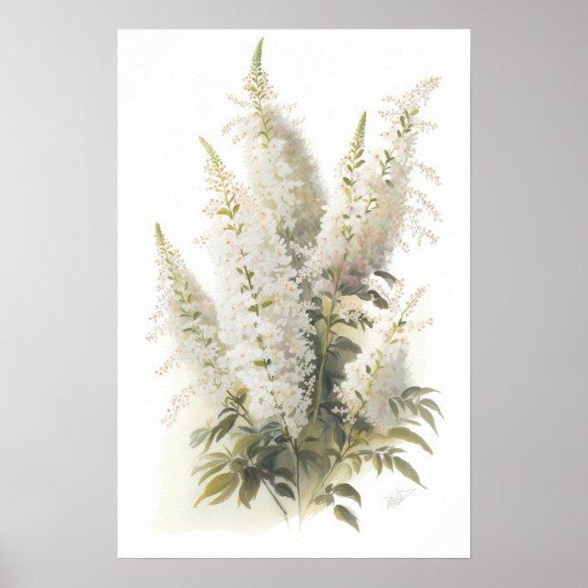Poster de impresión de arte de flores blanco asila (Frente)