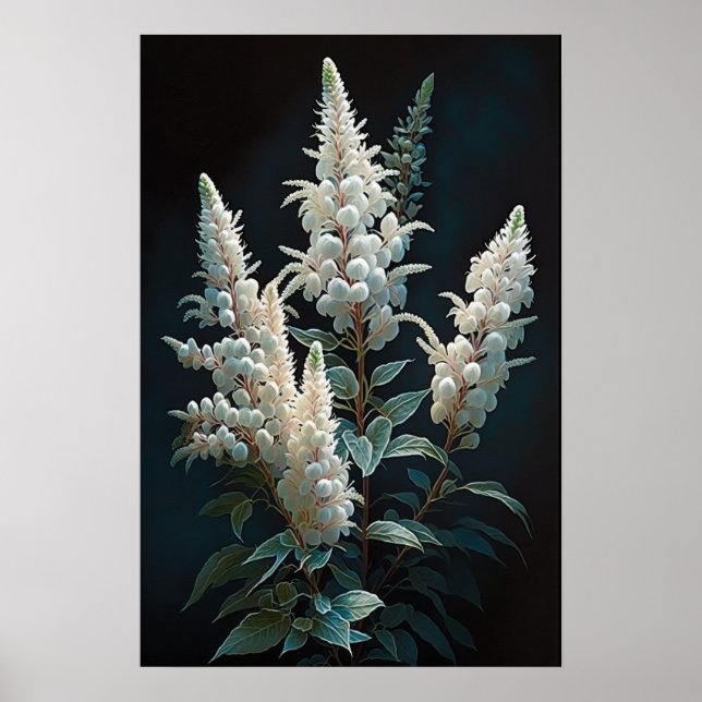 Poster de impresión de arte de flores blanco asila (Frente)