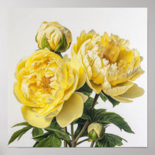 Poster de impresión de arte de flores de amarillo