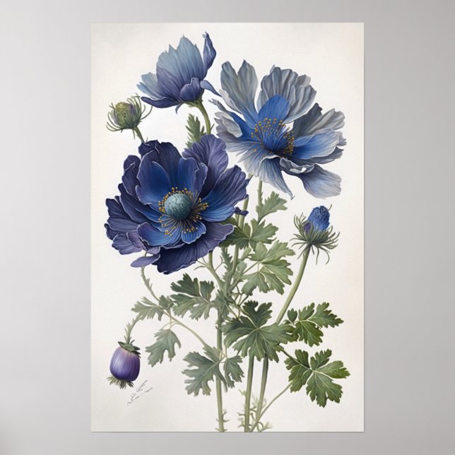 Póster de Impresión de Arte de Flores de Anémona A (Frente)