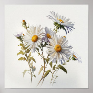 Poster de impresión de arte de flores de aster bla