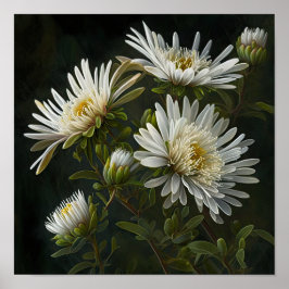Poster de impresión de arte de flores de aster bla