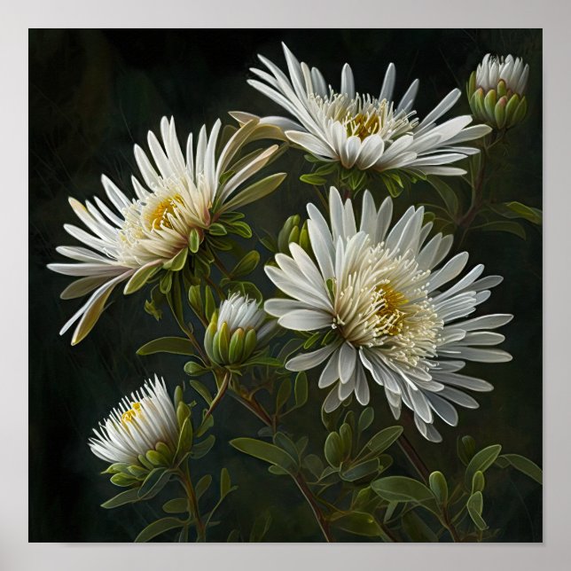 Poster de impresión de arte de flores de aster bla (Frente)