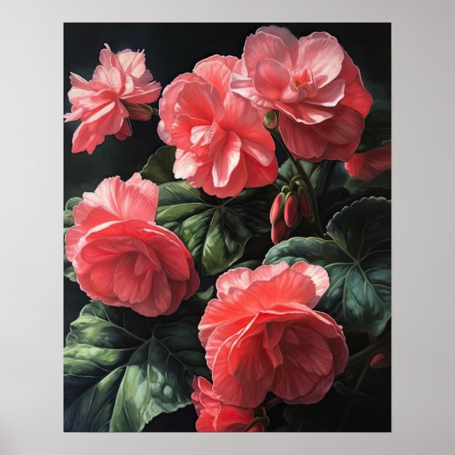 Poster de impresión de arte de flores de Begonia r (Frente)