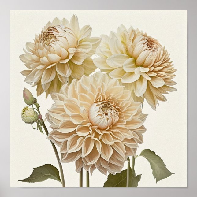 Poster de impresión de arte de flores de Dahlias b (Frente)
