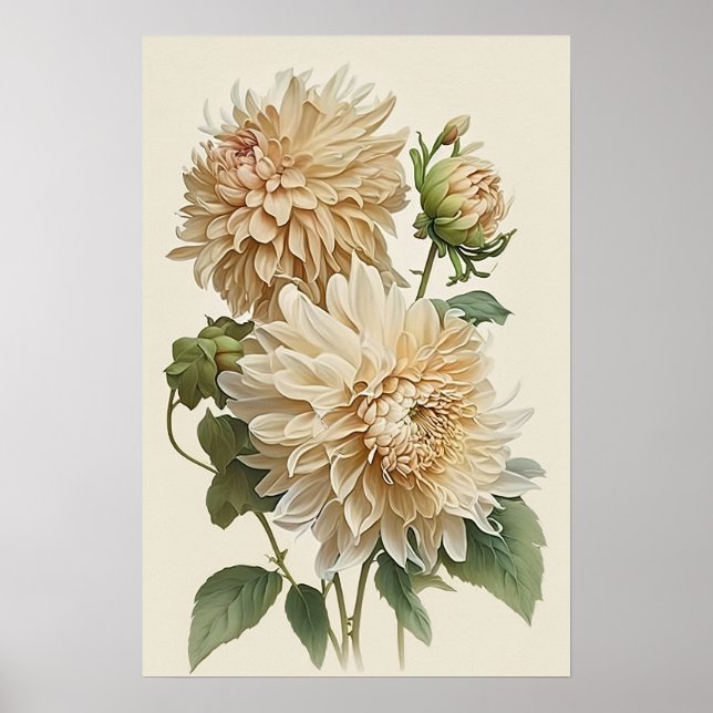 Poster de impresión de arte de flores de Dahlias b (Frente)