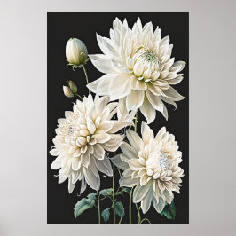 Poster de impresión de arte de flores de Dahlias b