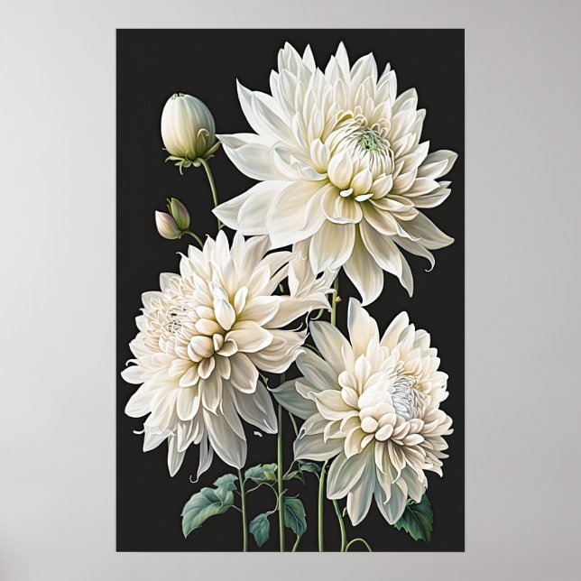 Poster de impresión de arte de flores de Dahlias b (Frente)
