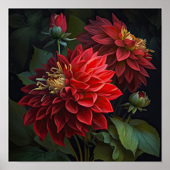 Poster de impresión de arte de flores de Dahlias R (Frente)