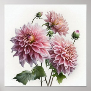 Poster de impresión de arte de flores de Dahlias r