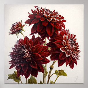 Poster de impresión de arte de flores de Dahlias R