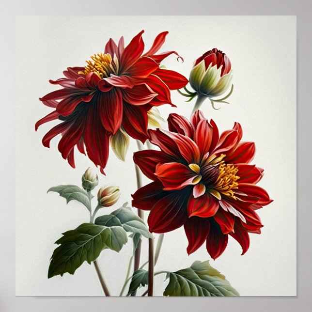 Poster de impresión de arte de flores de Dahlias R (Frente)