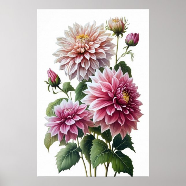 Poster de impresión de arte de flores de Dahlias r (Frente)