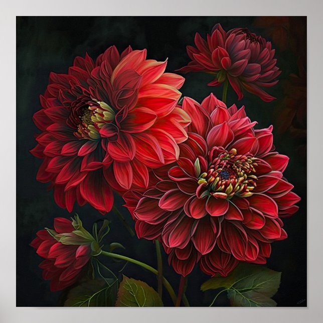 Poster de impresión de arte de flores de Dahlias R (Frente)