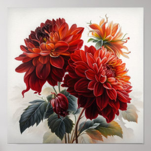 Poster de impresión de arte de flores de Dahlias R