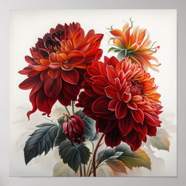 Poster de impresión de arte de flores de Dahlias R (Frente)