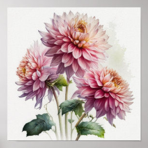 Poster de impresión de arte de flores de Dahlias r