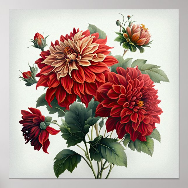Poster de impresión de arte de flores de Dahlias R (Frente)