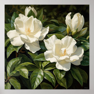 Poster de impresión de arte de flores de Gardenias