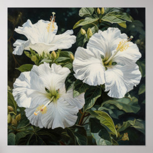Poster de impresión de arte de flores de Hibiscus 