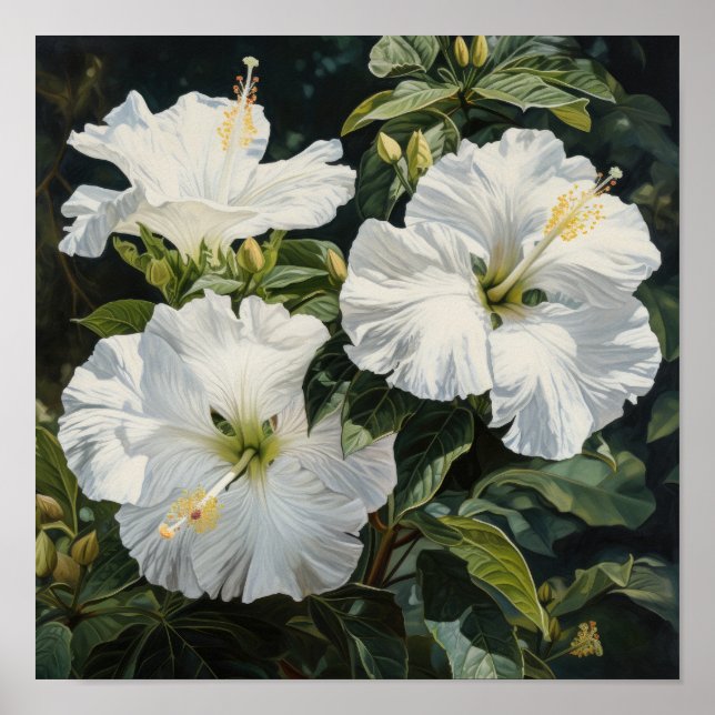 Poster de impresión de arte de flores de Hibiscus  (Frente)
