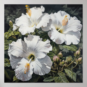 Poster de impresión de arte de flores de Hibiscus 