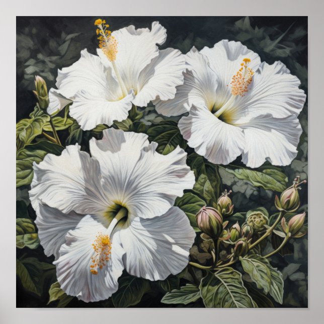Poster de impresión de arte de flores de Hibiscus  (Frente)