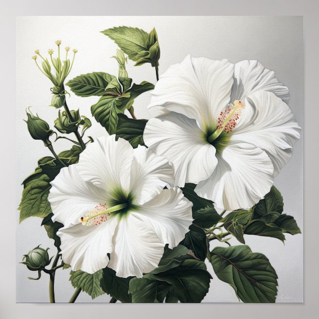 Poster de impresión de arte de flores de Hibiscus  (Frente)