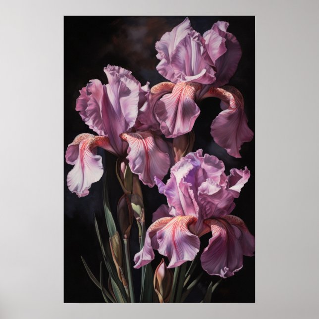 Poster de impresión de arte de flores de iris rosa (Frente)