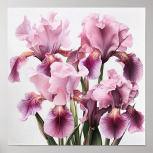 Poster de impresión de arte de flores de iris rosa