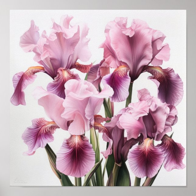 Poster de impresión de arte de flores de iris rosa (Frente)