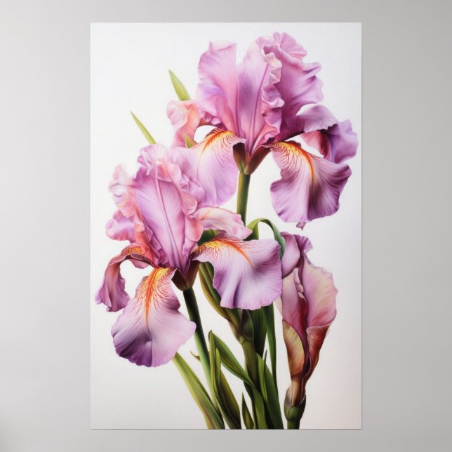 Poster de impresión de arte de flores de iris rosa (Frente)
