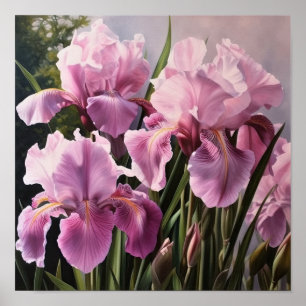 Poster de impresión de arte de flores de iris rosa