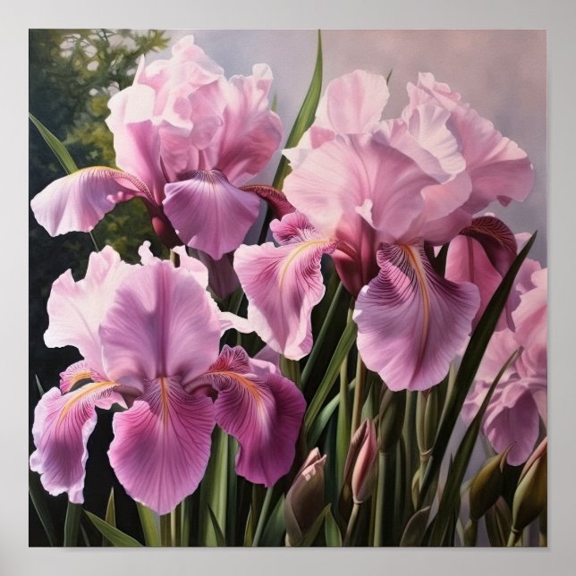 Poster de impresión de arte de flores de iris rosa (Frente)