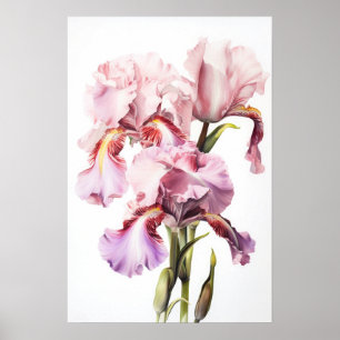 Poster de impresión de arte de flores de iris rosa