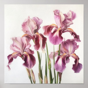 Poster de impresión de arte de flores de iris rosa